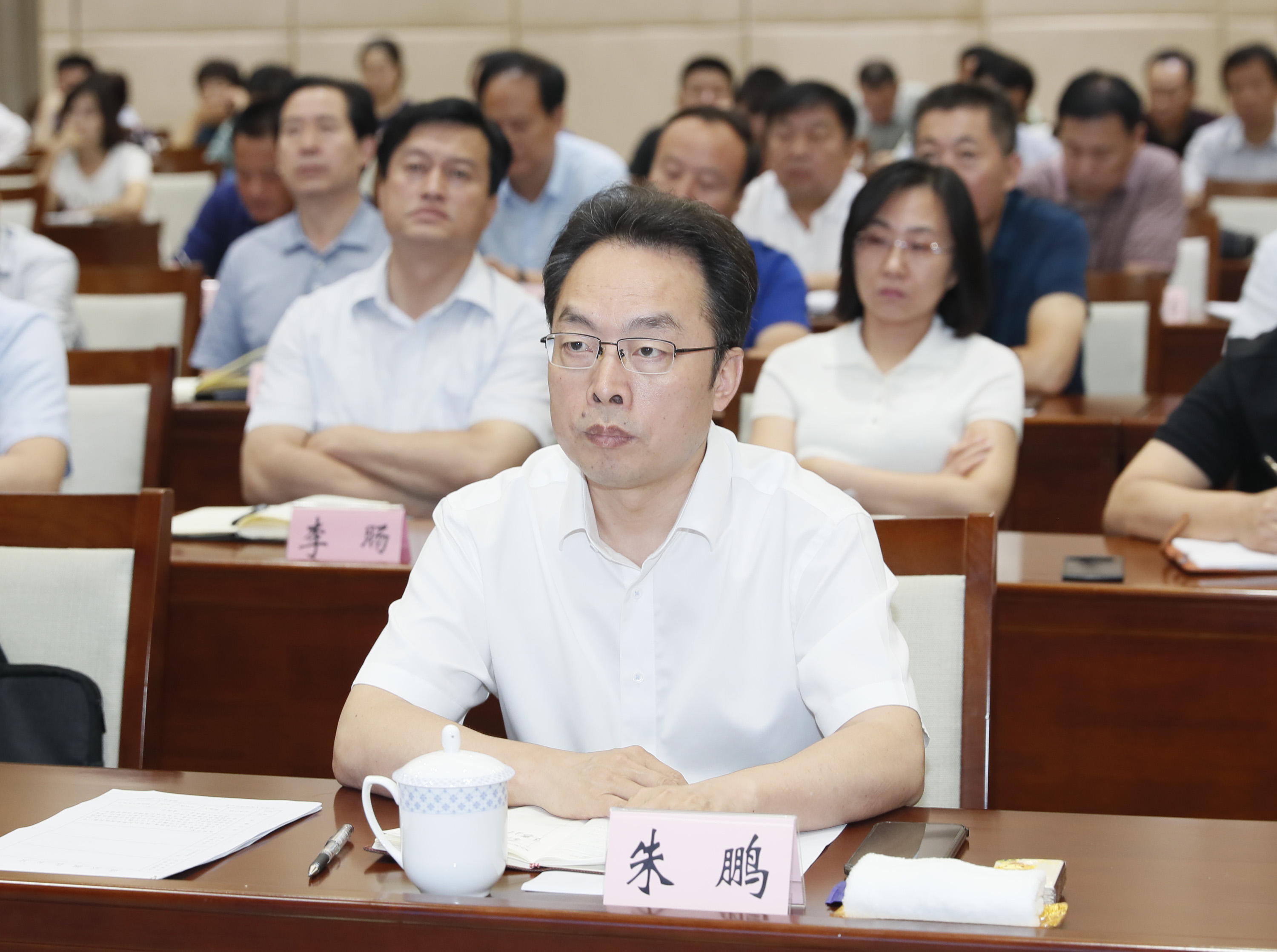 東臺(tái)朱鵬最新動(dòng)態(tài)，展翅高飛，勵(lì)志翱翔的奮斗歷程