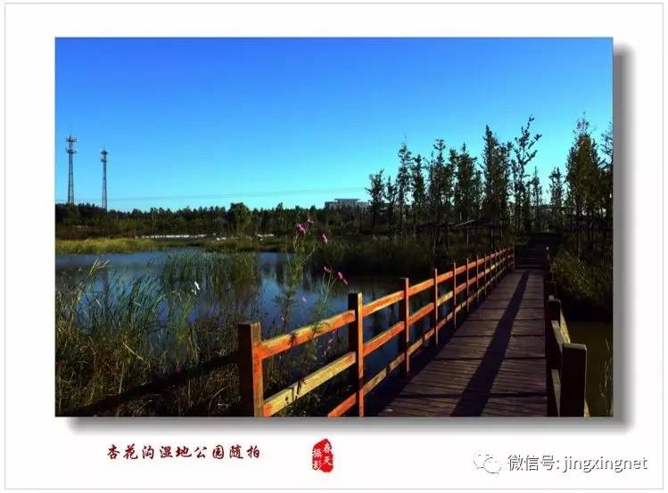 涼灣濕地公園奇妙一日游，最新消息揭秘探險(xiǎn)之旅！