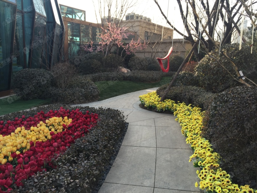 太原翡翠華庭最新動態(tài)揭秘，最新消息匯總????