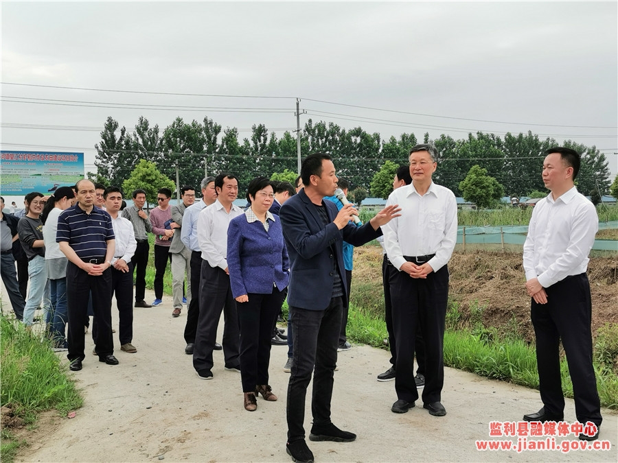 監(jiān)利盧國洪最新動態(tài)及小巷獨特風味探秘