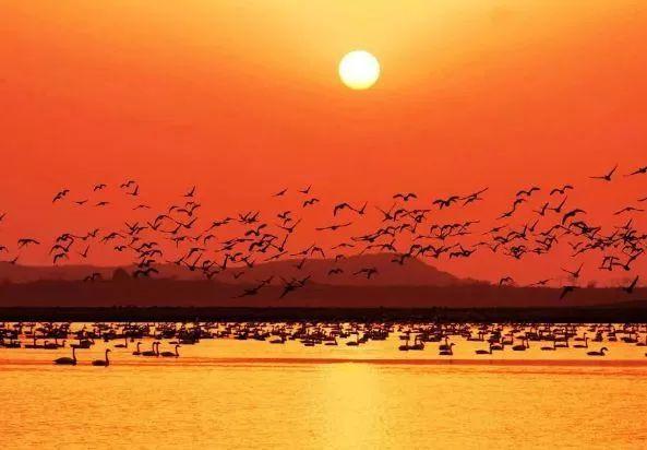 巢湖四海花園，科技智慧生活與房價新篇章開啟，最新房價信息一覽