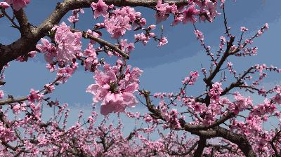 榆中縣新世界最新房價(jià)，夢想躍動(dòng)的起點(diǎn)