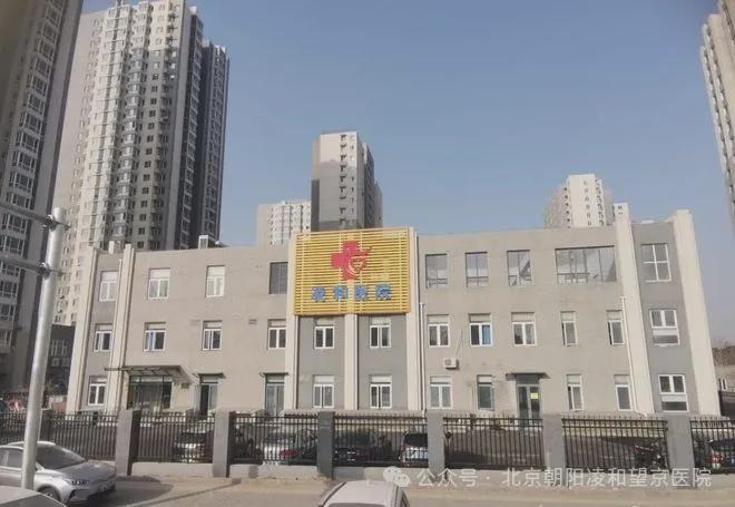 東壩福滿園，小巷特色小店的獨特魅力與最新消息揭秘