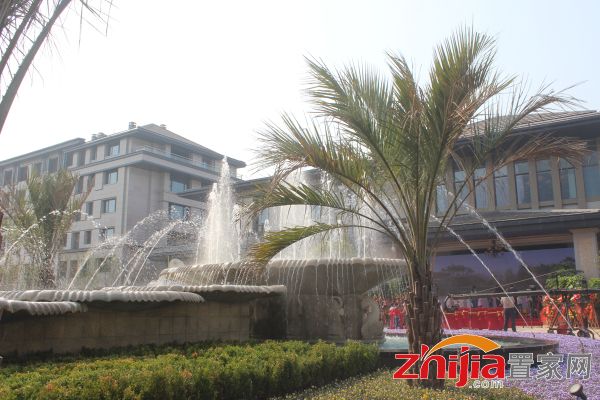 邯鄲陽光東尚最新消息揭秘，重磅更新??