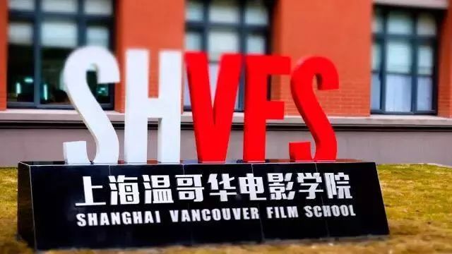 魯泰集團最新招聘啟事，職位空缺與職業(yè)發(fā)展機會