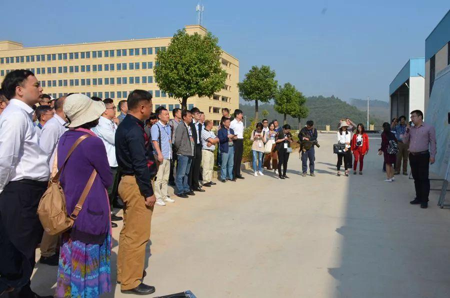 扶綏空港區(qū)最新進(jìn)展及影響，一種觀點(diǎn)深度解析