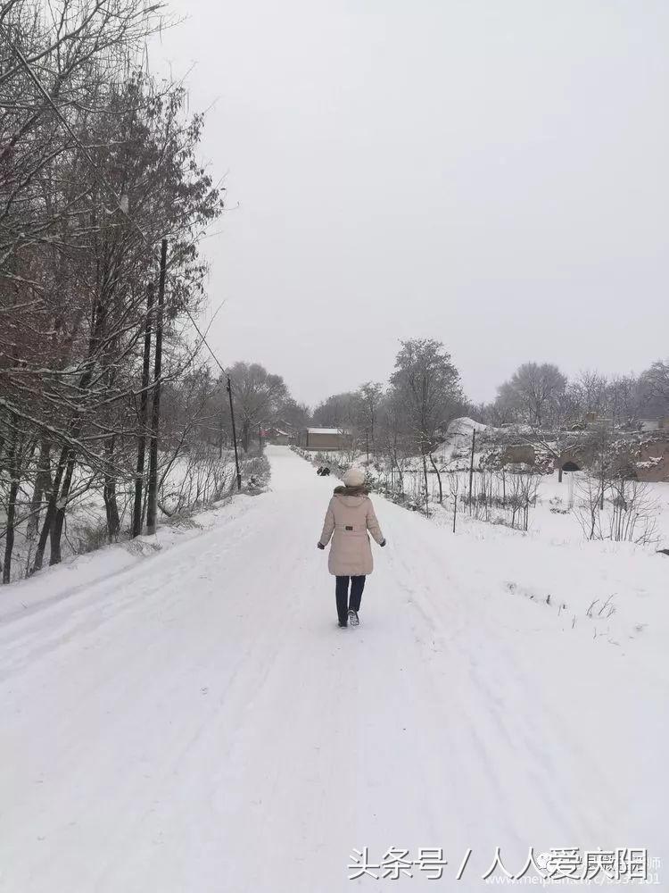 寧縣和盛鎮(zhèn)最新消息概覽，最新動態(tài)與指南