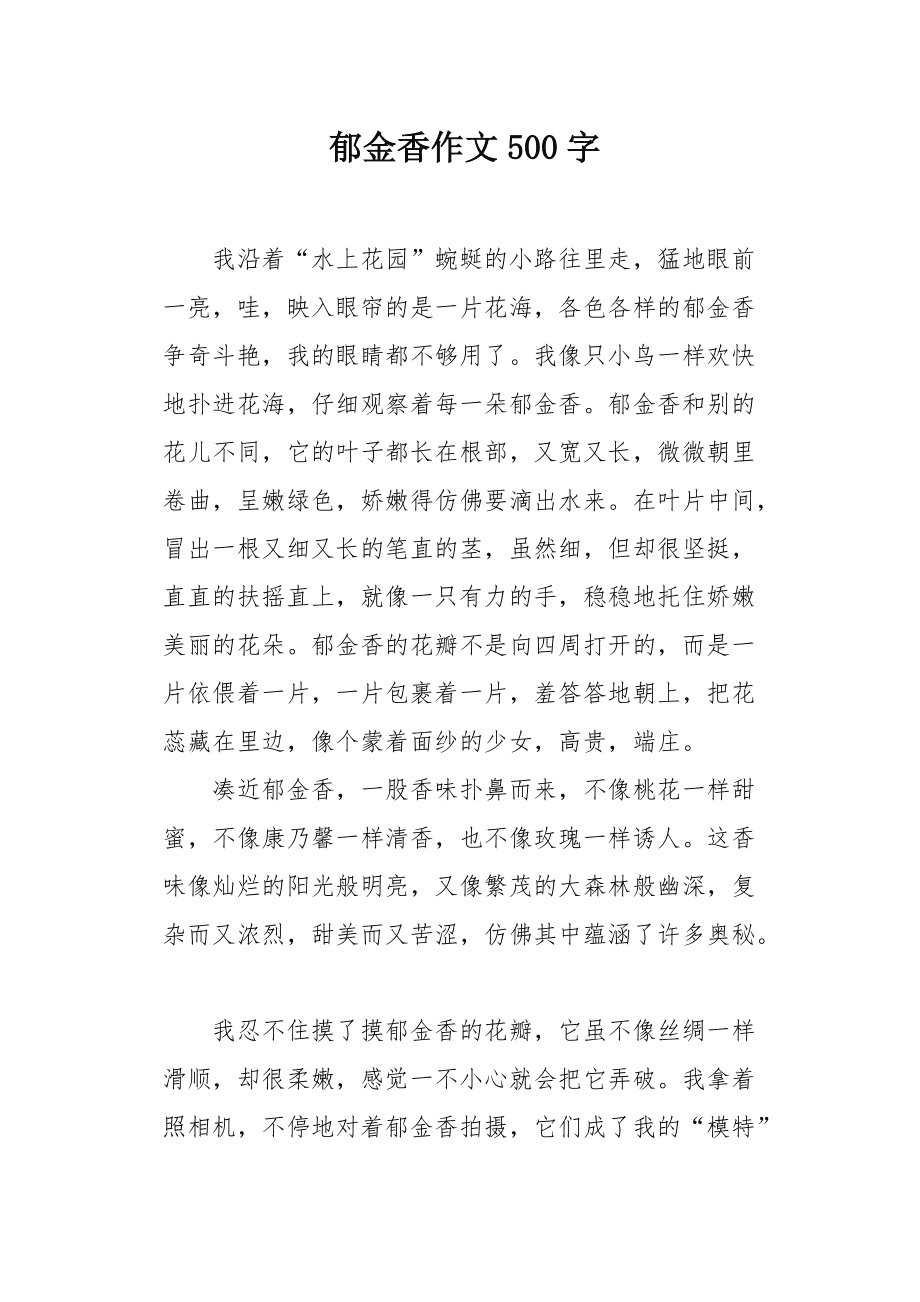 我的郁金香女友最新章節(jié)，情感與成長的交織旅程