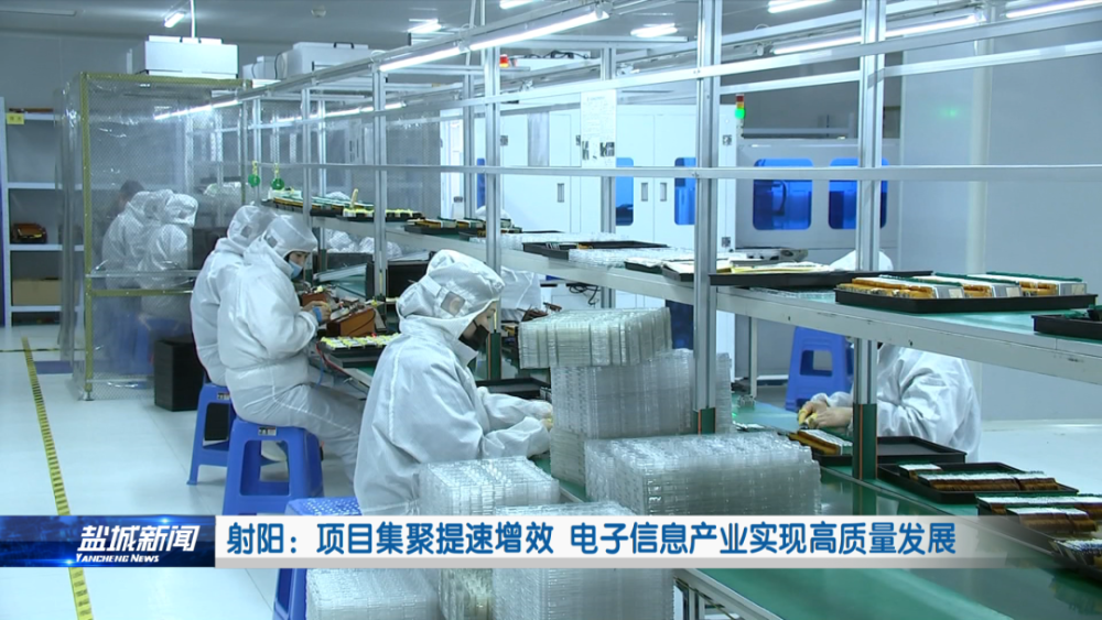 柘城皇集殺人事件最新消息曝光