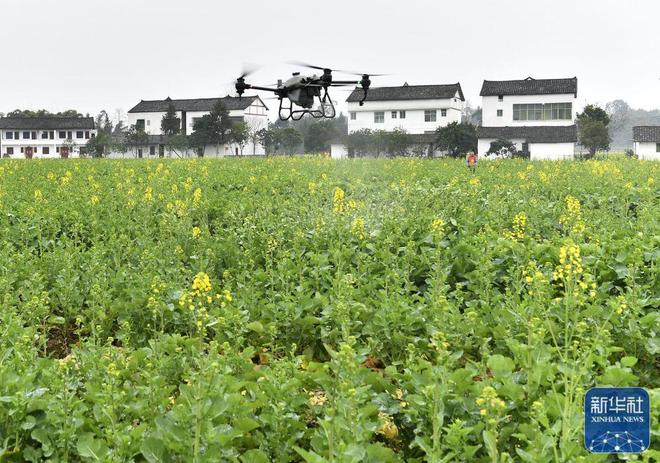 廣安市花橋鎮(zhèn)最新新聞及獲取指南，輕松掌握本地新聞技能