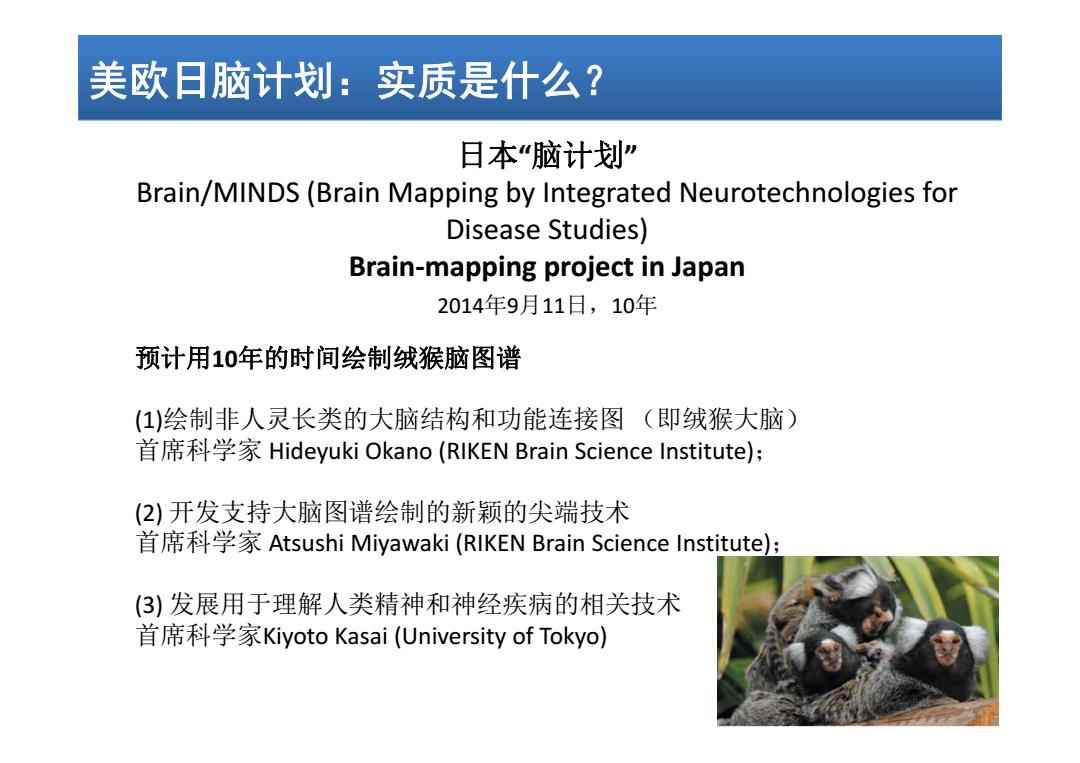 日本腦計(jì)劃最新進(jìn)展揭秘，溫馨日常的新突破