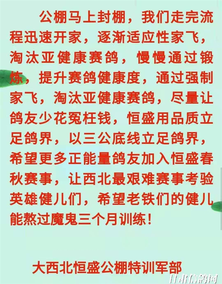 恒翔賽鴿公棚最新公告，展翅翱翔，共舞變化，自信筑夢未來！