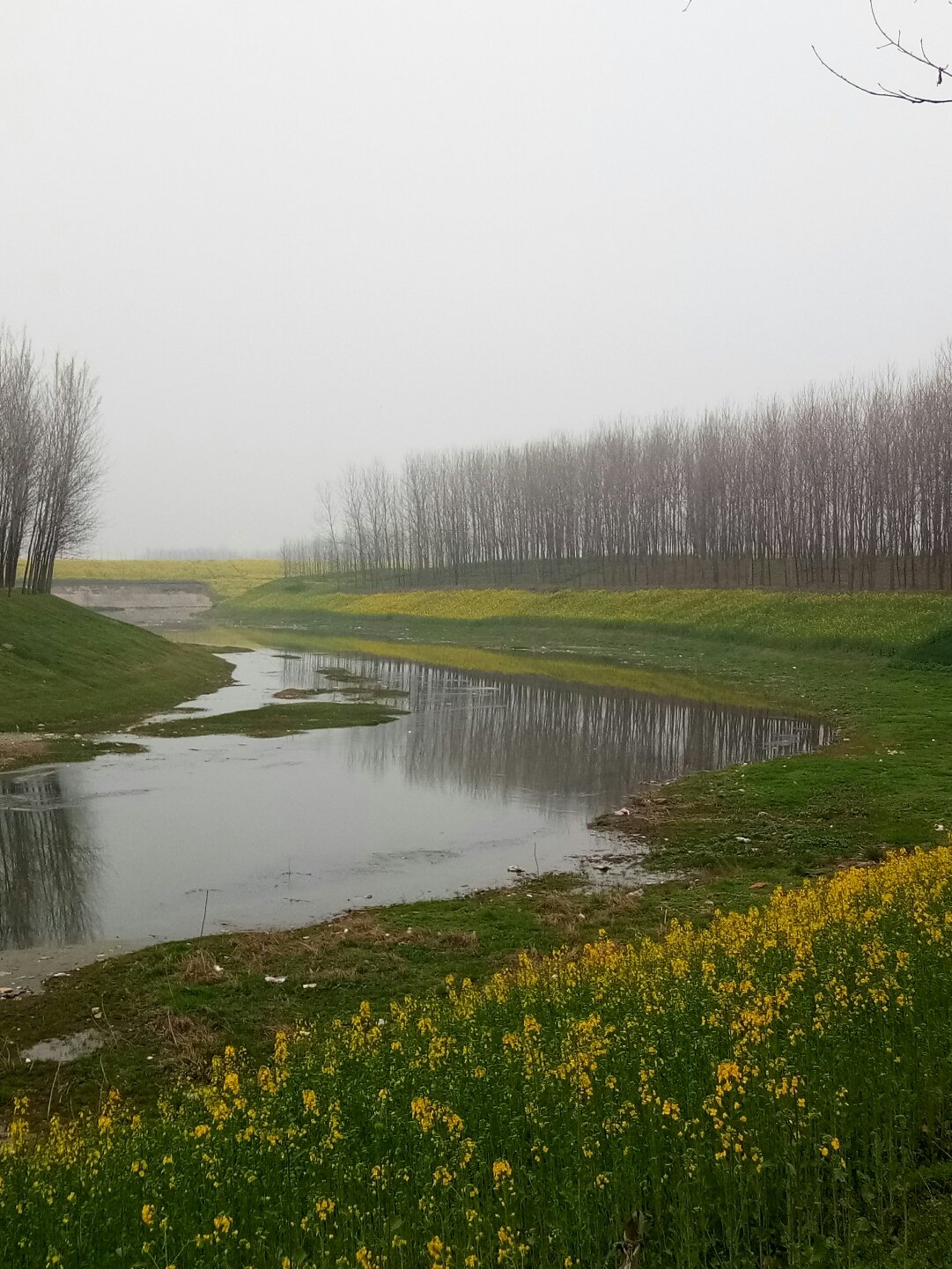 平輿縣天氣預(yù)報(bào)更新，陽光與氣象變化帶來自信與力量