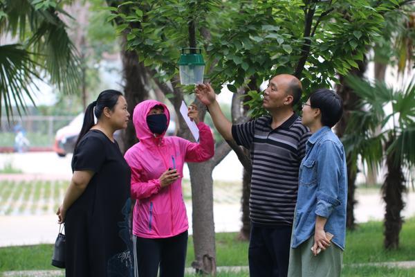 漯河黑龍?zhí)兑?guī)劃揭秘，最新藍(lán)圖與奇遇溫情的融合