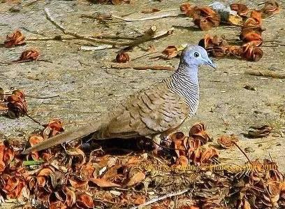 臺(tái)風(fēng)苗柏最新動(dòng)態(tài)，風(fēng)暴中的力量與影響視頻報(bào)道