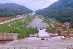 陽(yáng)江森林公園最新動(dòng)態(tài)更新，最新消息匯總