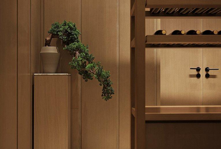 平度中央美地最新動(dòng)態(tài)，小巷中的隱藏瑰寶揭秘