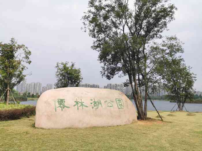 ??仙林湖公園最新動態(tài)更新??