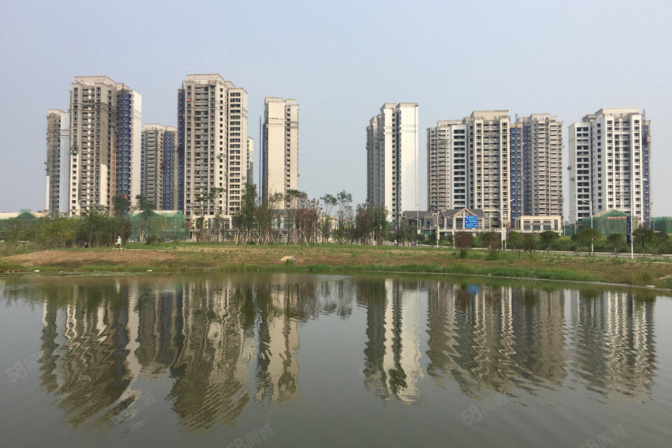 成都天府城邦最新動(dòng)態(tài)，城市變遷中的共同成長(zhǎng)之路