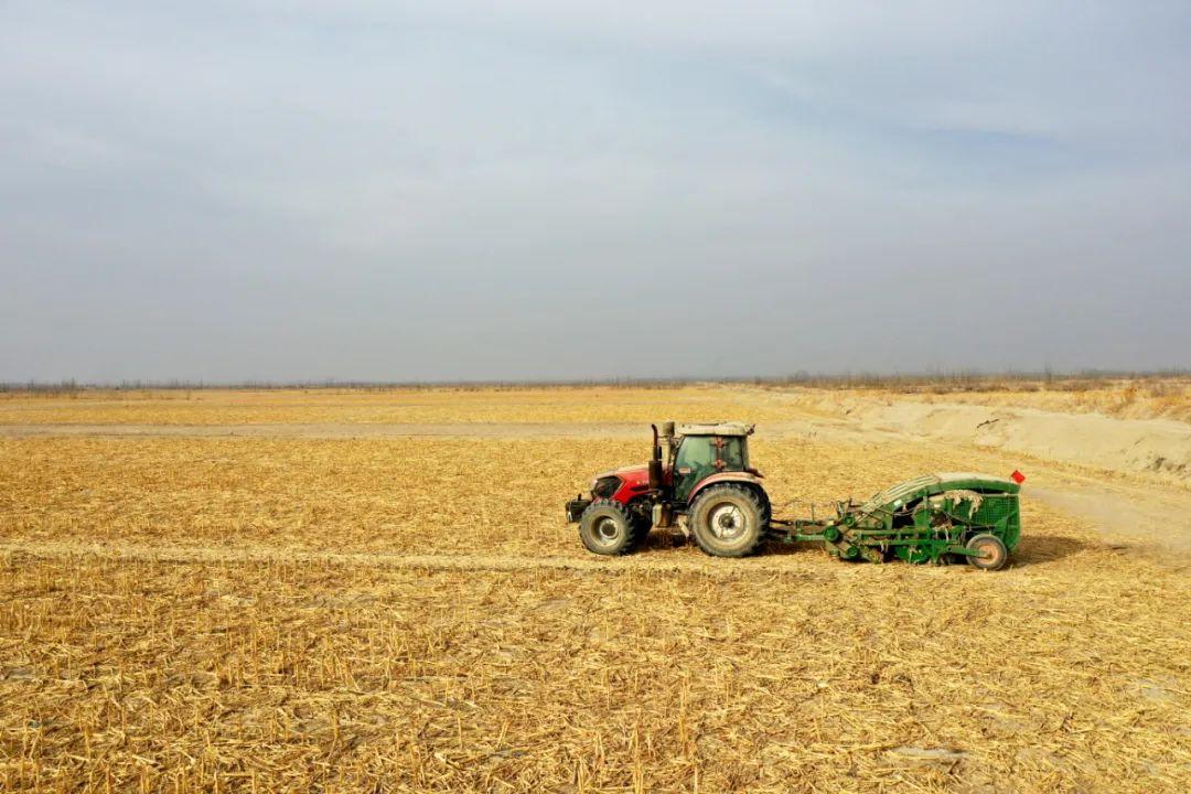 ??最新滴灌帶回收機助力農(nóng)業(yè)可持續(xù)發(fā)展??高效循環(huán)利用滴灌帶資源