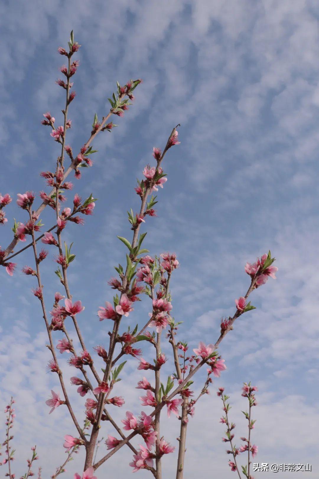 文山馬塘花莊最新開發(fā)，學習之旅的蛻變與自信成就之源