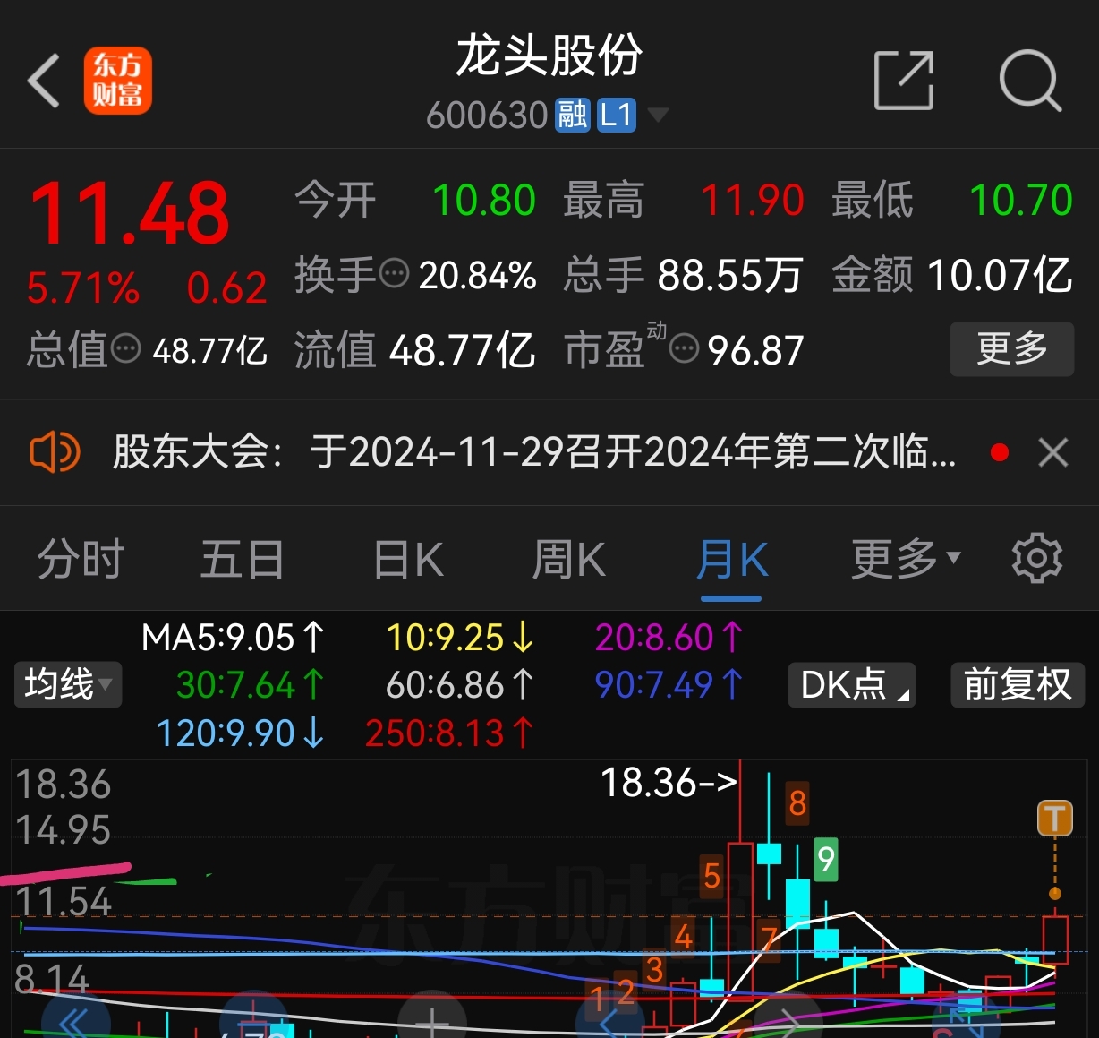 龍頭股份最新消息揭秘，小巷深處的隱藏價(jià)值