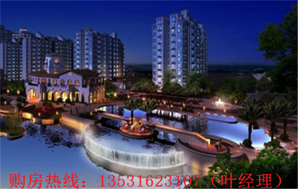 大亞灣羅建強最新消息，深度解析各方觀點與個人立場闡述