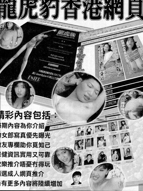 香港龍虎豹最新地址揭秘，探索自然美景，尋覓內(nèi)心寧?kù)o之旅